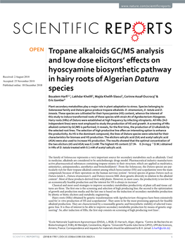 Tropane Alkaloids GC/MS Analysis and Low Dose Elicitors' Effects On