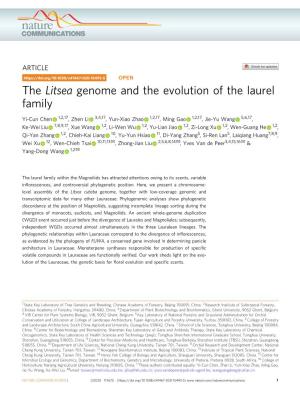 The Litsea Genome and the Evolution of the Laurel Family