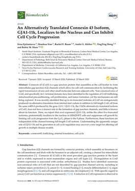 An Alternatively Translated Connexin 43 Isoform, GJA1-11K, Localizes to the Nucleus and Can Inhibit Cell Cycle Progression