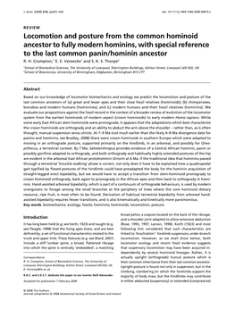 Locomotion and Posture from the Common Hominoid Ancestor to Fully Modern Hominins, with Special Reference to the Last Common Panin/Hominin Ancestor R