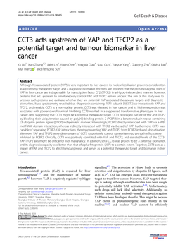 CCT3 Acts Upstream of YAP and TFCP2 As a Potential Target and Tumour Biomarker in Liver Cancer