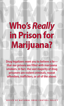 Who's Really in Prison for Marijuana?