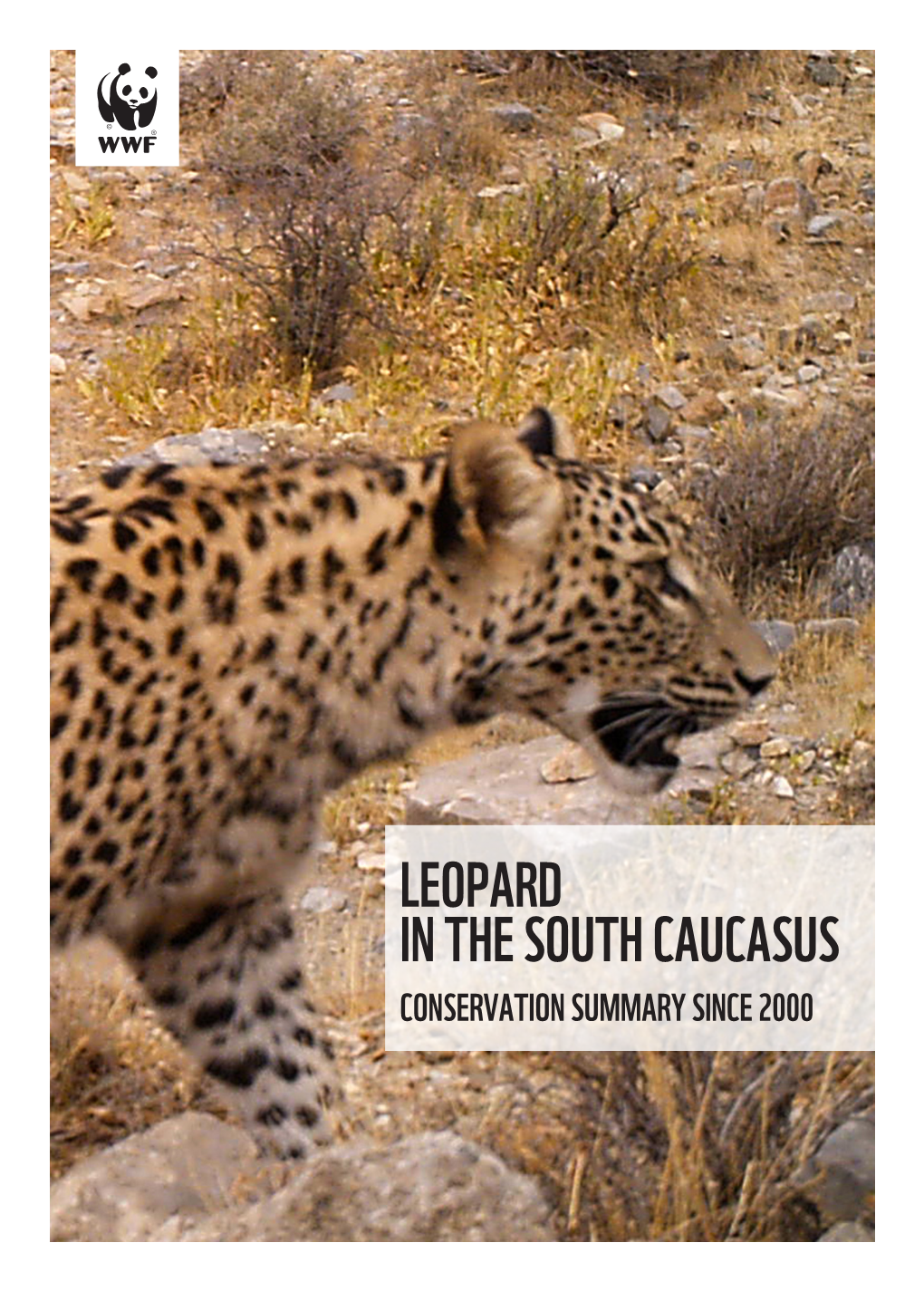 LEOPARD in the SOUTH CAUCASUS CONSERVATION SUMMARY SINCE 2000 Text: N