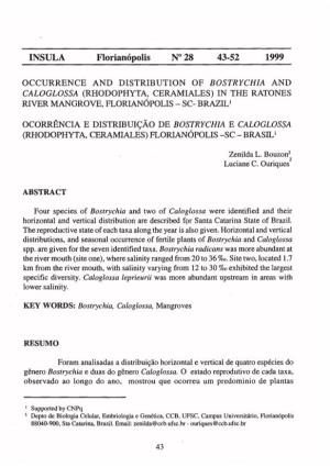 Occurrence and Distribution of Bostrychia and Caloglossa (Rhodophyta, Ceramiales) in the Ratones River Mangrove, Florianópolis - Sc- Braziv