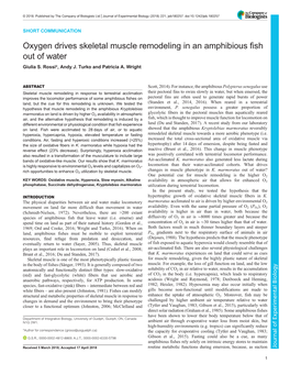 Oxygen Drives Skeletal Muscle Remodeling in an Amphibious Fish out of Water Giulia S