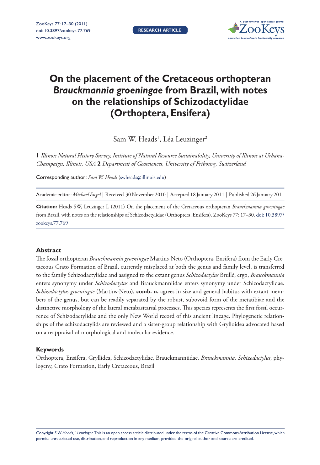 On the Placement of the Cretaceous Orthopteran Brauckmannia Groeningae from Brazil, with Notes on the Relationships of Schizodactylidae (Orthoptera, Ensifera)