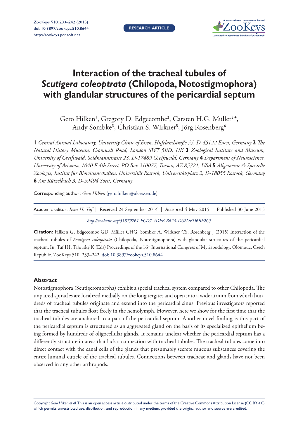 Interaction of the Tracheal Tubules of Scutigera Coleoptrata (Chilopoda, Notostigmophora) with Glandular Structures of the Pericardial Septum