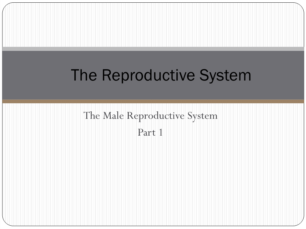 The Reproductive System