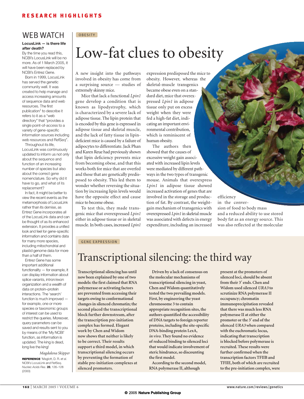 Low-Fat Clues to Obesity More