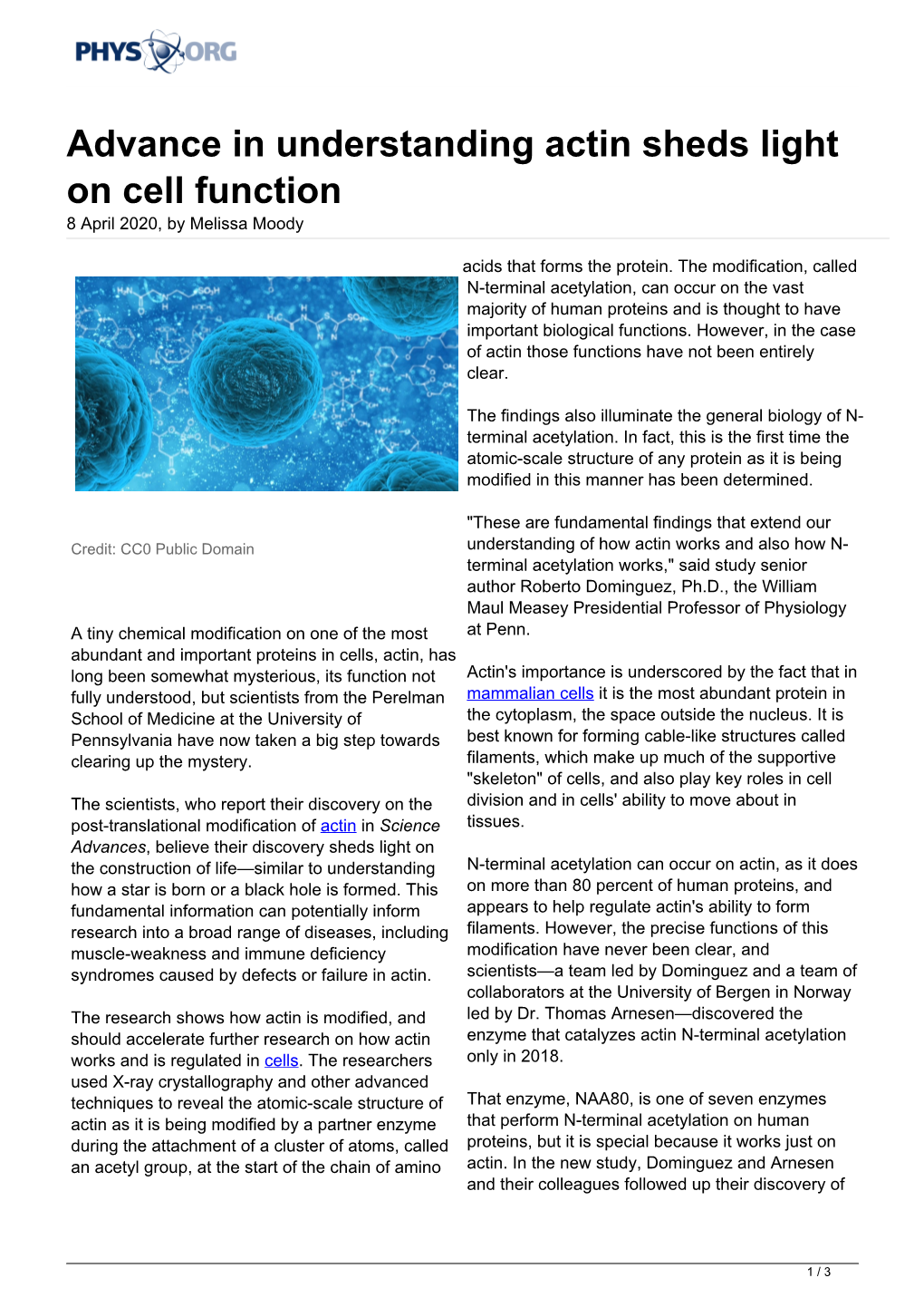 Advance in Understanding Actin Sheds Light on Cell Function 8 April 2020, by Melissa Moody