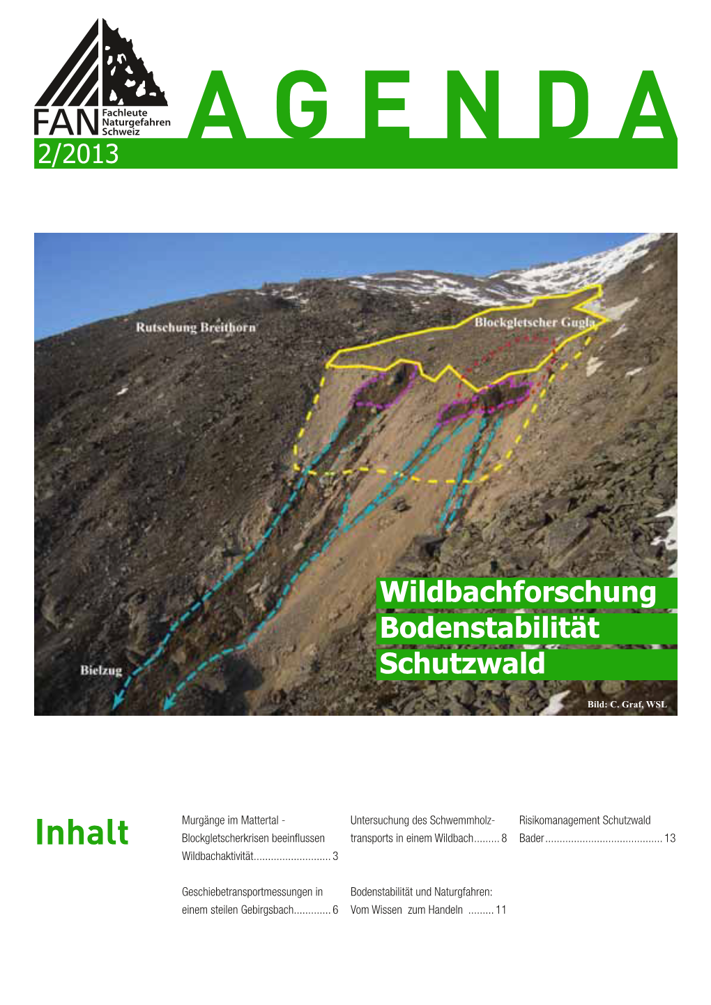 Wildbachforschung/Bodenstabilität/Schutzwald