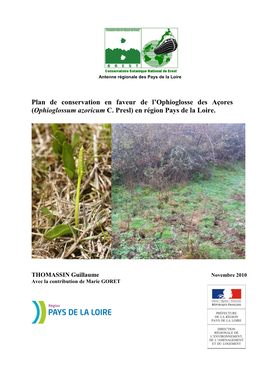 (Ophioglossum Azoricum C. Presl) En Région Pays De La Loire
