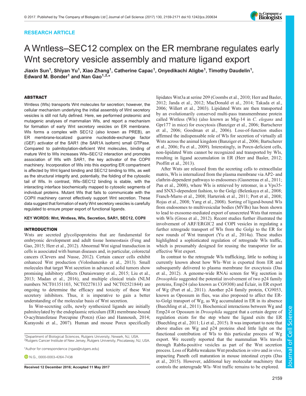 A Wntless–SEC12 Complex on the ER Membrane Regulates Early Wnt