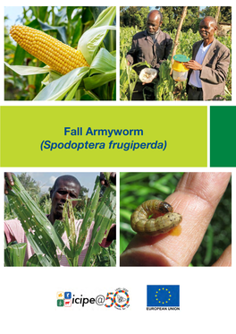 Fall Armyworm (Spodoptera Frugiperda) What Is Fall Armyworm?