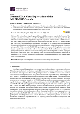 Human DNA Virus Exploitation of the MAPK-ERK Cascade