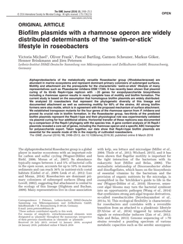 Biofilm Plasmids with a Rhamnose Operon Are Widely Distributed Determinants of the ‘Swim-Or-Stick’ Lifestyle in Roseobacters