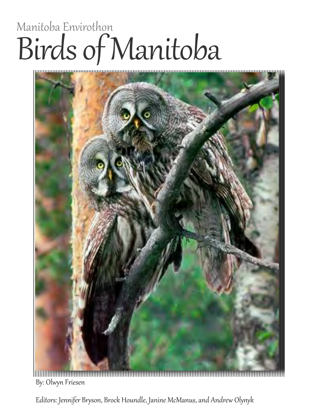 Birds of Manitoba Document Is First Split Into Larger Functional Groups, Following the AOU Checklist of North American Birds