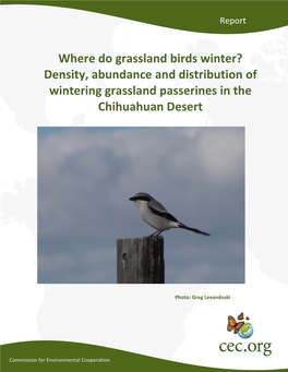 Where Do Grassland Birds Winter? Density, Abundance and Distribution of Wintering Grassland Passerines in the Chihuahuan Desert