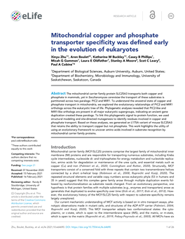 Mitochondrial Copper and Phosphate Transporter Specificity Was Defined