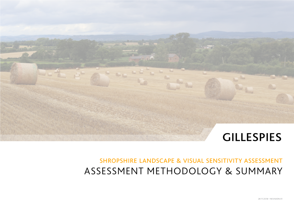 Assessment Methodology & Summary