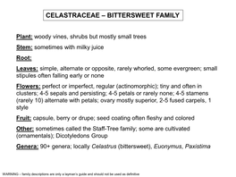Celastraceae – Bittersweet Family