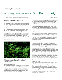 Soil Biodiversity