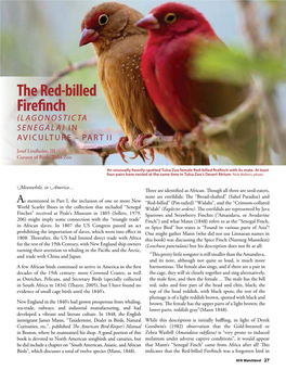 The Red-Billed Firefnch (LAGO N O STICTA SEN EGALA) in AVICULTURE – PART I I