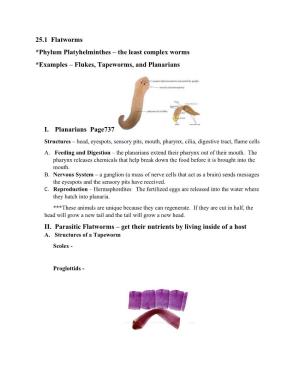 25.1 Flatworms *Phylum Platyhelminthes – the Least Complex Worms *Examples – Flukes, Tapeworms, and Planarians