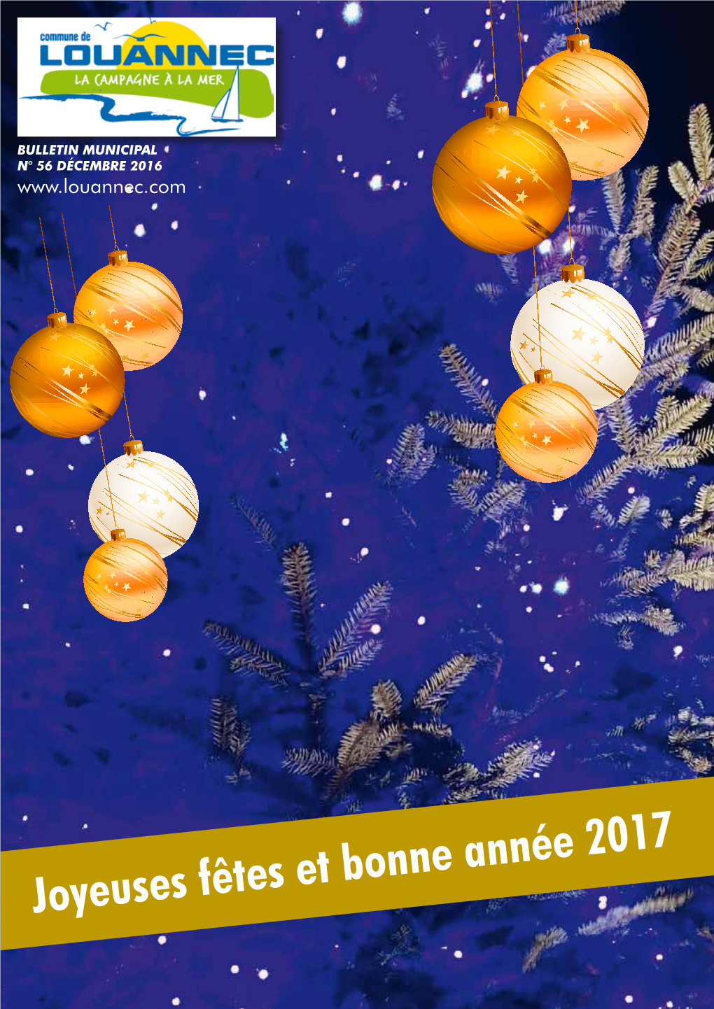 Joyeuses Fêtes Et Bonne Année 2017 Bulletin Municipal N°56 Décembre 2016