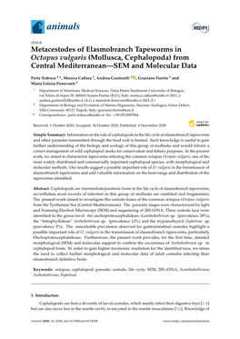 Metacestodes of Elasmobranch Tapeworms in Octopus Vulgaris (Mollusca, Cephalopoda) from Central Mediterranean—SEM and Molecular Data