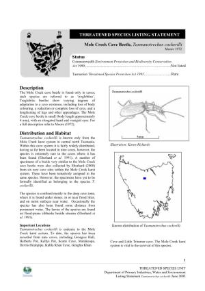 Description Distribution and Habitat Mole Creek Cave Beetle