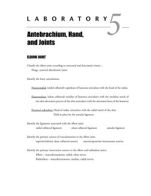 Antebrachium, Hand, and Joints