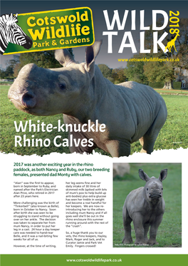 White-Knuckle Rhino Calves Baby Belle