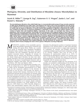 Phylogeny, Diversity, and Distribution of Micryletta (Anura: Microhylidae) in Myanmar