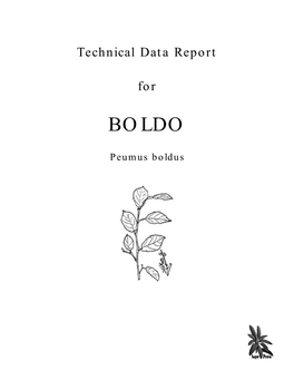 Boldo (Peumus Boldus)