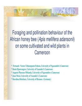 Foraging and Pollination Behaviour of the African Honey Bee (Apis Mellifera Adansonii) on Some Cultivated and Wild Plants in Cameroon