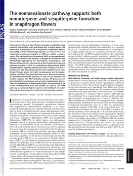 The Nonmevalonate Pathway Supports Both Monoterpene and Sesquiterpene Formation in Snapdragon Flowers