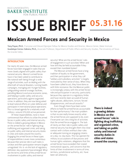 Mexican Armed Forces and Security in Mexico