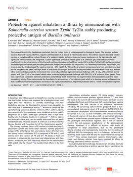 Salmonella Enterica Serovar Typhi Ty21a Stably Producing Protective Antigen of Bacillus Anthracis