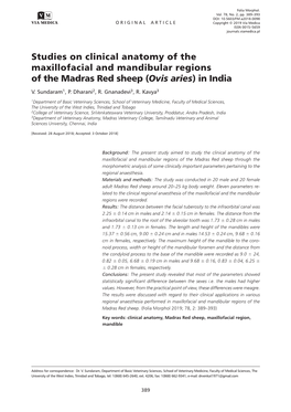 Studies on Clinical Anatomy of the Maxillofacial and Mandibular Regions of the Madras Red Sheep (Ovis Aries) in India V