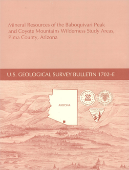 Mineral Resources of the Baboquivari Peak and Coyote Mountains Wilderness Study Areas, Pima County, Arizona