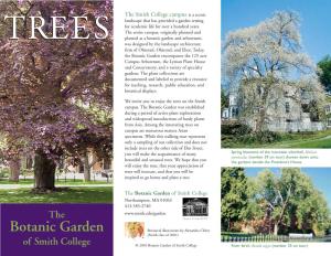 Campus Tree Guide