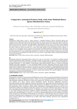 Comparative Anatomical Features Study of the Some Medicinal Rumex Species Distributed in Turkey