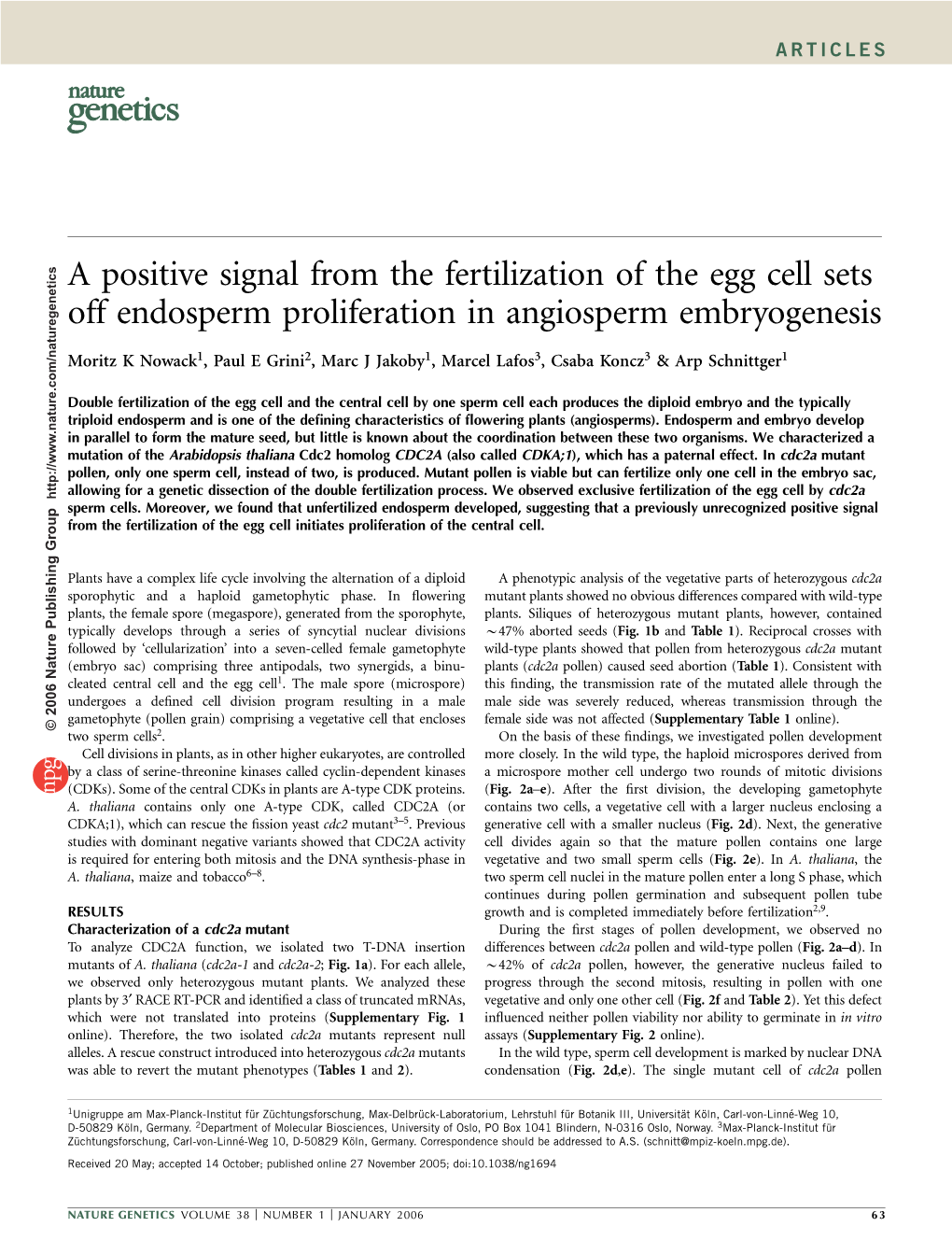 A Positive Signal from the Fertilization of the Egg Cell Sets Off Endosperm Proliferation in Angiosperm Embryogenesis