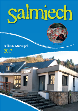 Bulletin Municipal 2017 (4242Ko)