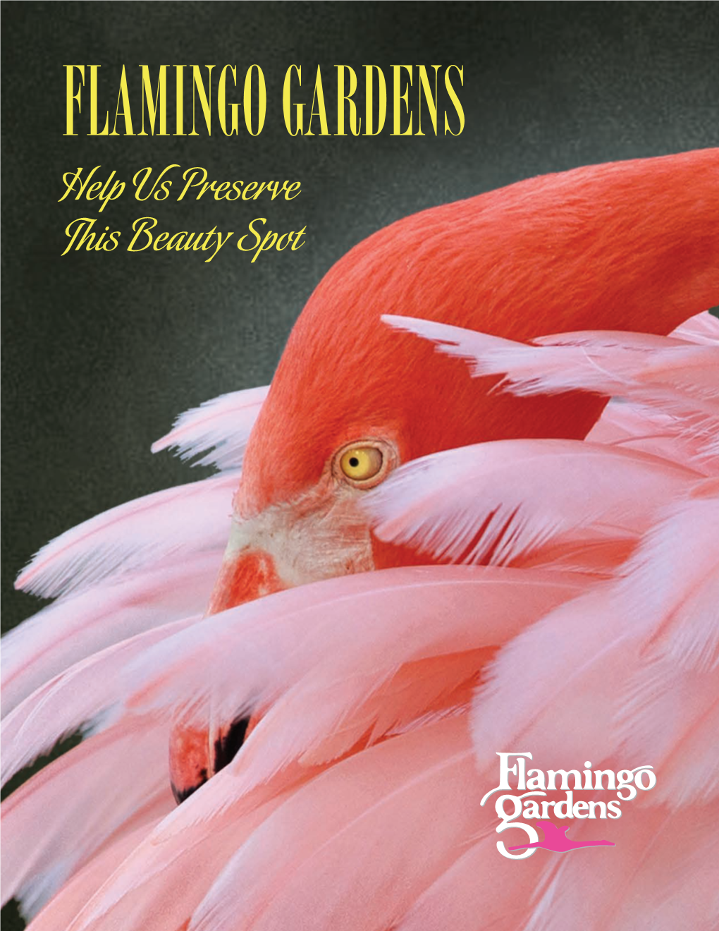 Flamingo Gardens