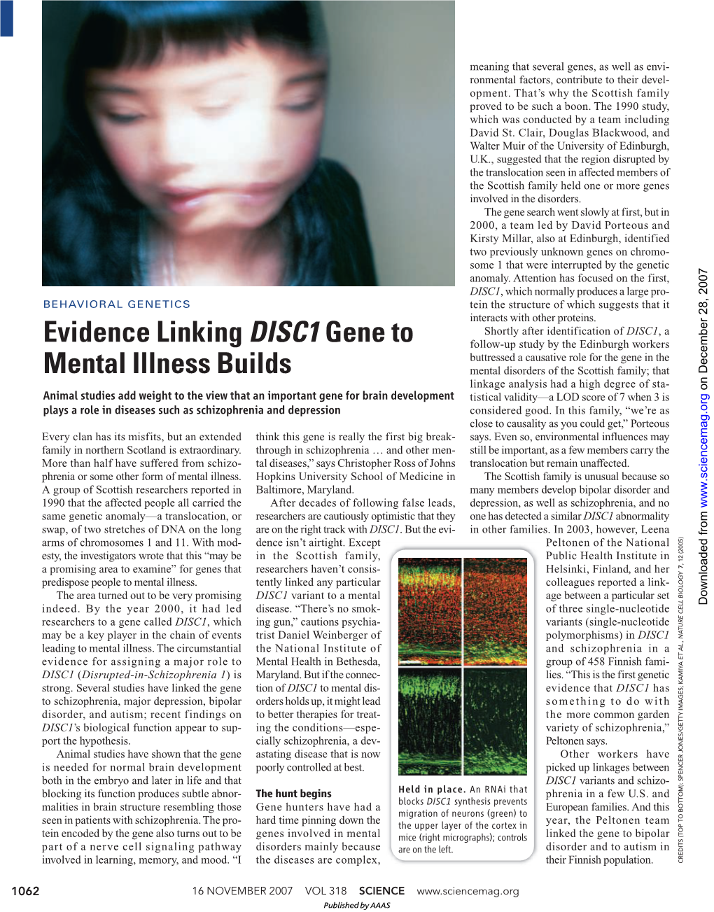 Evidence Linking DISC1 Gene to Mental Illness Builds