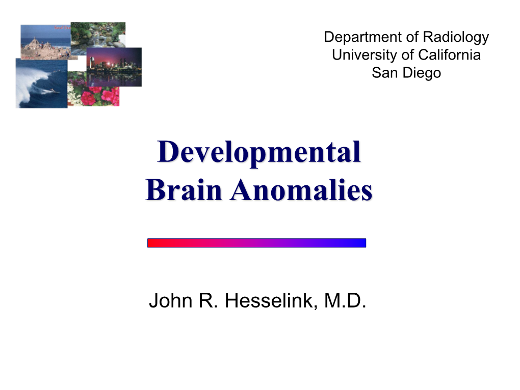 Developmental Brain Anomalies