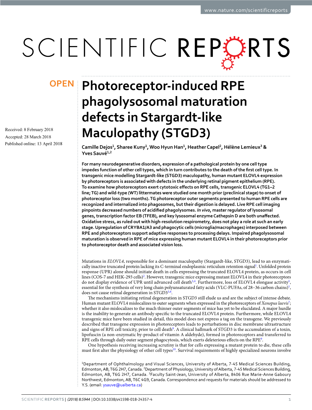 Photoreceptor-Induced RPE Phagolysosomal