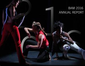 Bam 2016 Annual Report